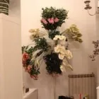 Immagine 3 azienda L'ARMONIA IN FIORE Vivaio in Mozzate