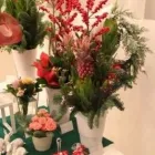 Immagine 7 azienda L'ARMONIA IN FIORE Vivaio in Mozzate
