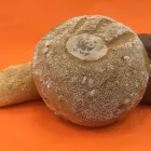 Immagine 1 azienda L'ARTE DEL FORNO Shopping e acquisti in Guidonia Montecelio RM