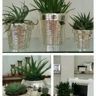 Immagine 2 azienda L'ARTE DEL REGALO Shopping e acquisti in Busto Arsizio VA