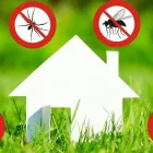 Immagine 3 azienda L'EDERA Servizi professionali in Castellanza VA