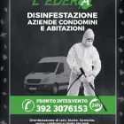 Immagine 6 azienda L'EDERA Servizi professionali in Castellanza VA