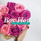 Immagine 2 azienda L'ELEGANZA DEI FIORI Vivaio in Napoli