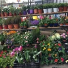 Immagine 1 azienda L’AGRIFATTORIA Industrie e agricoltura in Santa Venerina CT