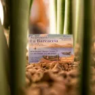 Immagine 2 azienda LA BARCACCIA Ristorante in Pescara