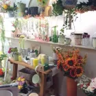 Immagine 2 azienda LA BOTTEGA DI MARISOL Shopping e acquisti in Palermo