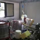 Immagine 3 azienda LA CASA DEL MIELE Industrie e agricoltura in Rimini
