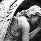 Immagine 6 azienda LA COOPER DE LUCA DOMENICO Servizi professionali in Tremestieri ME