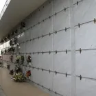 Immagine 7 azienda LA COOPER DE LUCA DOMENICO Servizi professionali in Tremestieri ME