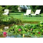 Immagine 8 azienda LA CUCINA DI CREMA Tavola calda in Giavera Del Montello TV