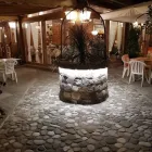 Immagine 6 azienda LA GRIGLIA D'ORO Ristorante in Bellaria-Igea Marina RN