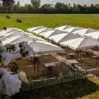 Immagine 2 azienda LA LOCANDA DELLA MANDRIA Ristorante in Venaria Reale TO