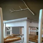 Immagine 7 azienda LA LOCANDA DELLA MANDRIA Ristorante in Venaria Reale TO