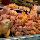 Immagine 7 azienda LA MACELLERIA Macelleria in Riccione RN