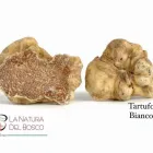 Immagine 3 azienda LA NATURA DEL BOSCO Gastronomia in Cardito NA