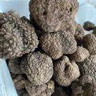 Immagine 4 azienda LA NATURA DEL BOSCO Gastronomia in Cardito NA