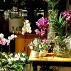 Immagine 3 azienda LA ROSA ROSSA Shopping e acquisti in Mestre VE