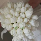 Immagine 5 azienda LA ROSA ROSSA Shopping e acquisti in Mestre VE