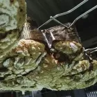 Immagine 4 azienda LA VECCHIA FONTANA Shopping e acquisti in Montella AV