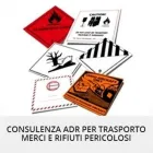Immagine 1 azienda LA VIOLA Servizi professionali in Roma