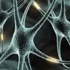 Immagine 5 azienda LABORATORIO ANALISI CUCUZZA E TORNETTA Salute in Catania