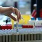 Immagine 3 azienda LABORATORIO ANALISI D'AGATA Salute in Aci Castello CT