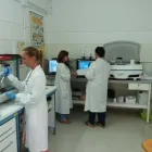 Immagine 1 azienda LABORATORIO DI ANALISI CLINICHE MEDILAB Salute in Ciampino RM