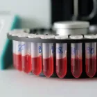 Immagine 1 azienda LABORATORIO FIORENTE Salute in Siracusa