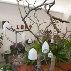 Immagine 3 azienda LABORATORIO FLOREALE AIELLO Shopping e acquisti in Piano Di Sorrento NA