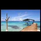 Immagine 3 azienda LATHAM TOUR AGENZIA DI VIAGGI Viaggi e turismo in Ceccano FR