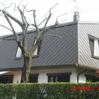 Immagine 1 azienda LATTONERIA CASTAGNOLI S.A.S. Servizio di impermeabilizzazione in Lonate Pozzolo VA