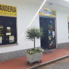 Immagine 3 azienda LAVANDERIA PANDASEC Servizi professionali in Torino