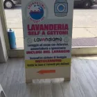 Immagine 1 azienda LAVANDERIA SELF SERVICE LAVANDIAMO ROSY Servizi professionali in Moncalieri TO