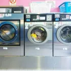 Immagine 4 azienda LE BOLLE BLU Servizi professionali in Galatone LE