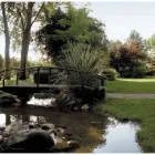 Immagine 2 azienda LE CALANDRINE Ristorante in Cimadolmo TV