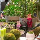 Immagine 6 azienda LE CHICCHE ARTICOLI DA REGALO Shopping e acquisti in Taranto