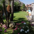 Immagine 6 azienda LE FANTASIE DEL GIARDINIERE DI CASSARÀ SALVATORE Shopping e acquisti in Monreale PA