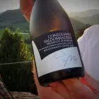 Immagine 3 azienda LE MIRE PROSECCO CONEGLIANO Servizi agricoli in Refrontolo TV