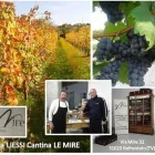 Immagine 5 azienda LE MIRE PROSECCO CONEGLIANO Servizi agricoli in Refrontolo TV