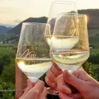 Immagine 7 azienda LE MIRE PROSECCO CONEGLIANO Servizi agricoli in Refrontolo TV