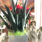 Immagine 1 azienda LE QUATTRO STAGIONI Wedding planner organizzazione matrimoni in Capurso BA