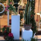 Immagine 2 azienda LE QUATTRO STAGIONI Wedding planner organizzazione matrimoni in Capurso BA