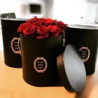 Immagine 4 azienda LE QUATTRO STAGIONI Wedding planner organizzazione matrimoni in Capurso BA