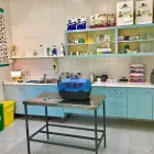 Immagine 1 azienda LIFE VILLAGE MANZONI CLINICA VETERINARIA Veterinario in Napoli