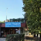 Immagine 2 azienda LILIAN TAPPETI PERSIANI Tappeti in Torino