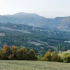 Immagine 4 azienda LIMENTRA Servizi professionali in Vergato BO