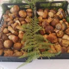 Immagine 1 azienda LINEA TARTUFI Shopping e acquisti in Pozzuoli NA