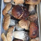 Immagine 5 azienda LINEA TARTUFI Shopping e acquisti in Pozzuoli NA