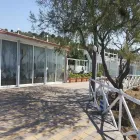 Immagine 2 azienda LO SCOGLIO PIZZERIA RISTORANTE Ristorante in Pulsano TA