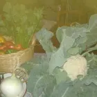 Immagine 5 azienda LOCANDA NINA AGRITURISMO Viaggi e turismo in Montemarano AV